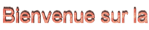 bienvenue.gif (2891 octets)